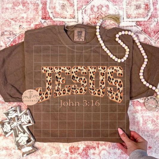 Jesus, John 3:16 PNG Digital Download